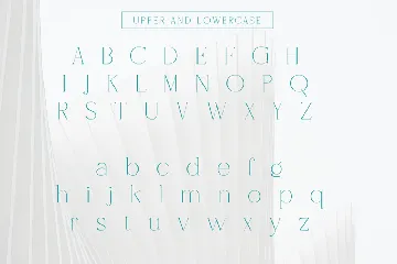 Modern Thin Serif Display Font