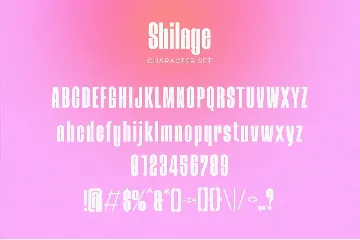 Shilage - Modern Condensed Sans Serif font