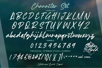 Study Hard - Authentic Brush Font