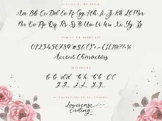 Gelyti Script Font