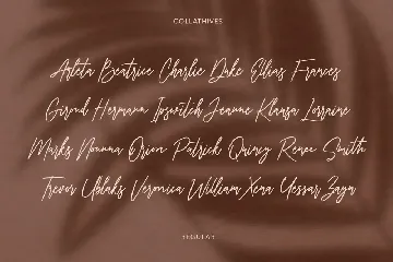 Collathives Signature Brush Font