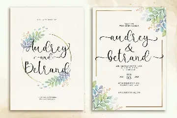 Shanley - Romantic Calligraphy Font