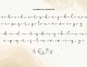 Shanley - Romantic Calligraphy Font