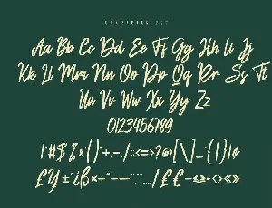 Tanstor - Handwritten Script Font