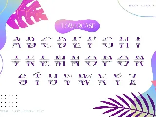 Bintari-Floral Display Font