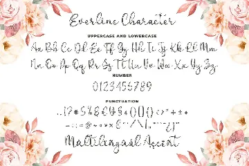 Everline - a Modern Calligraphy font