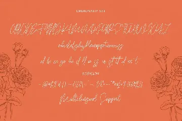 Ordionally Signature Font