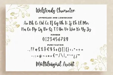 Welstendy - Modern Calligraphy Font