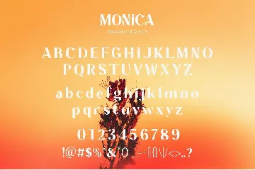 Monica - Unique Display Sans Serif font