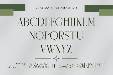 Modern Thin Serif Font