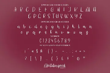 Shitti Beauty font