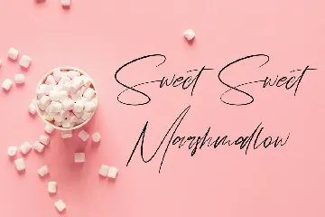 Schwitz Signature Sweet Casual Script Font