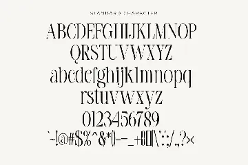 Modern Serif Typeface font