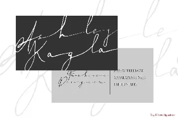 Nigel Roos Signature font