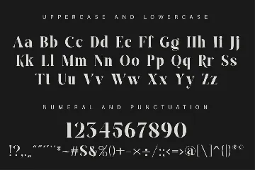 Elegant Modern Serif Display Font