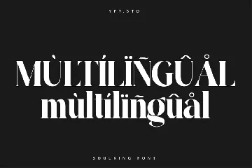 Elegant Modern Serif Display Font