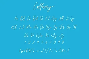 Callmery Signature Script Font