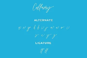 Callmery Signature Script Font