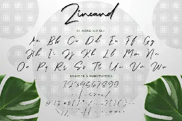 Zincand Modern Script Font