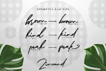 Zincand Modern Script Font