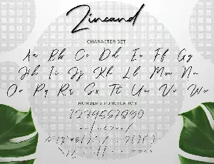 Zincand Modern Script Font