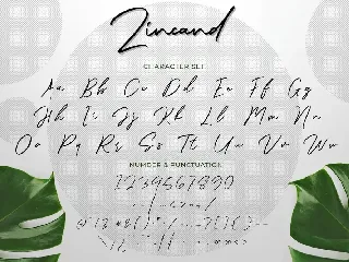 Zincand Modern Script Font