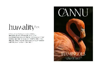 CANNU font