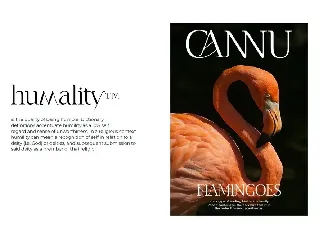 CANNU font