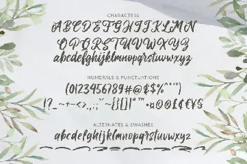 Laritta - Handbrush Script font