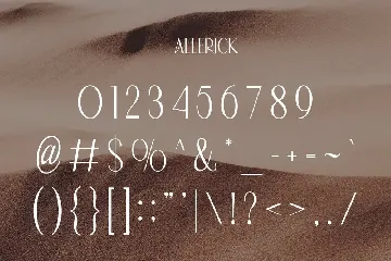 Allerick | Modern Classic font