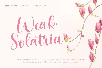 Mother Shopping Girly Business Font