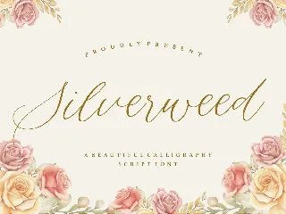 Silverweed Script Font