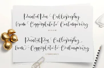 Cathy Font Script