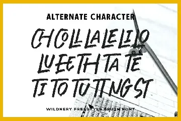 Wildnery font