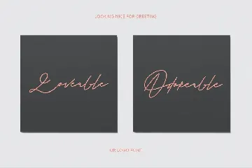 Warwicks Fancy Signature Font