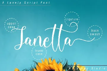 Michalina - Beautiful Script Font