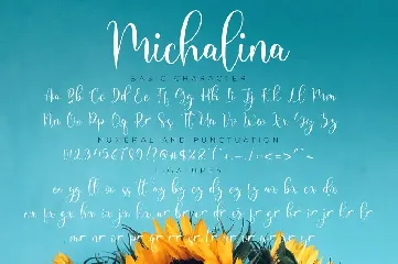 Michalina - Beautiful Script Font