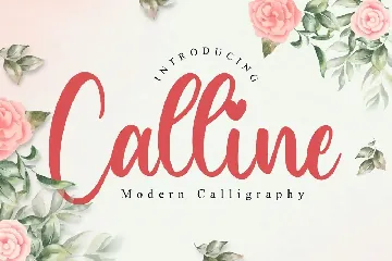 Calline - Bold Script Font