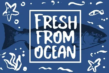 Salmon Fancy Font