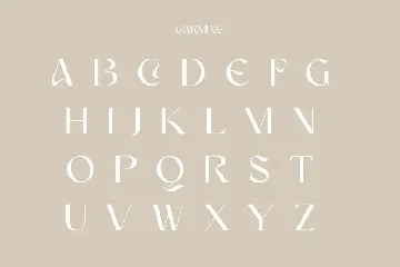 Carmine | Modern Stylish font