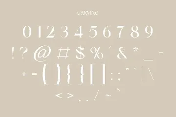 Carmine | Modern Stylish font