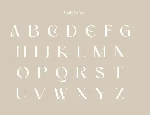 Carmine | Modern Stylish font