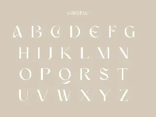 Carmine | Modern Stylish font