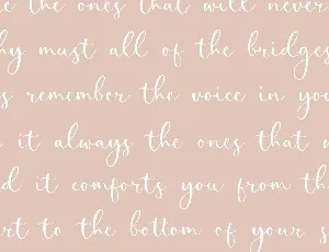 Perfect Garden Script Font