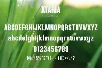 Ataria - Modern Condensed Sans font