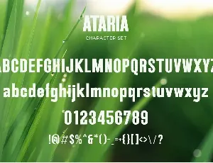 Ataria - Modern Condensed Sans font