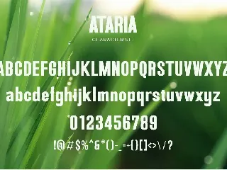 Ataria - Modern Condensed Sans font