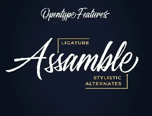 Standberg Script Font