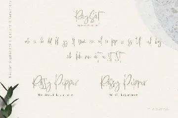 Raysat - Elegant Signature Font