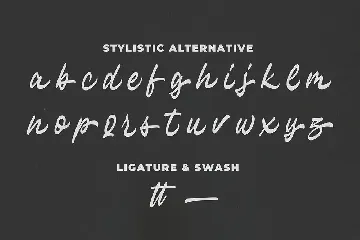 Hayline - Elegant Script Font